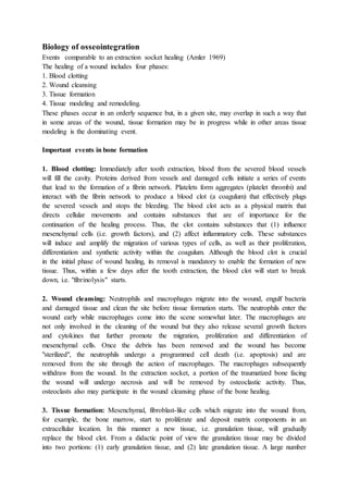 Biology of osseointegration
Events comparable to an extraction socket healing (Amler 1969)
The healing of a wound includes four phases:
1. Blood clotting
2. Wound cleansing
3. Tissue formation
4. Tissue modeling and remodeling.
These phases occur in an orderly sequence but, in a given site, may overlap in such a way that
in some areas of the wound, tissue formation may be in progress while in other areas tissue
modeling is the dominating event.
Important events in bone formation
1. Blood clotting: Immediately after tooth extraction, blood from the severed blood vessels
will fill the cavity. Proteins derived from vessels and damaged cells initiate a series of events
that lead to the formation of a fibrin network. Platelets form aggregates (platelet thrombi) and
interact with the fibrin network to produce a blood clot (a coagulum) that effectively plugs
the severed vessels and stops the bleeding. The blood clot acts as a physical matrix that
directs cellular movements and contains substances that are of importance for the
continuation of the healing process. Thus, the clot contains substances that (1) influence
mesenchymal cells (i.e. growth factors), and (2) affect inflammatory cells. These substances
will induce and amplify the migration of various types of cells, as well as their proliferation,
differentiation and synthetic activity within the coagulum. Although the blood clot is crucial
in the initial phase of wound healing, its removal is mandatory to enable the formation of new
tissue. Thus, within a few days after the tooth extraction, the blood clot will start to break
down, i.e. "fibrinolysis" starts.
2. Wound cleansing: Neutrophils and macrophages migrate into the wound, engulf bacteria
and damaged tissue and clean the site before tissue formation starts. The neutrophils enter the
wound early while macrophages come into the scene somewhat later. The macrophages are
not only involved in the cleaning of the wound but they also release several growth factors
and cytokines that further promote the migration, proliferation and differentiation of
mesenchymal cells. Once the debris has been removed and the wound has become
"sterilized", the neutrophils undergo a programmed cell death (i.e. apoptosis) and are
removed from the site through the action of macrophages. The macrophages subsequently
withdraw from the wound. In the extraction socket, a portion of the traumatized bone facing
the wound will undergo necrosis and will be removed by osteoclastic activity. Thus,
osteoclasts also may participate in the wound cleansing phase of the bone healing.
3. Tissue formation: Mesenchymal, fibroblast-like cells which migrate into the wound from,
for example, the bone marrow, start to proliferate and deposit matrix components in an
extracellular location. In this manner a new tissue, i.e. granulation tissue, will gradually
replace the blood clot. From a didactic point of view the granulation tissue may be divided
into two portions: (1) early granulation tissue, and (2) late granulation tissue. A large number
 