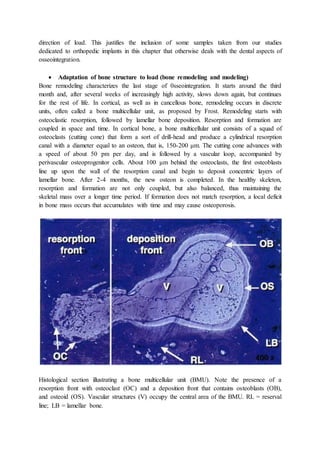 direction of load. This justifies the inclusion of some samples taken from our studies
dedicated to orthopedic implants in this chapter that otherwise deals with the dental aspects of
osseointegration.
 Adaptation of bone structure to load (bone remodeling and modeling)
Bone remodeling characterizes the last stage of 0sseointegration. It starts around the third
month and, after several weeks of increasingly high activity, slows down again, but continues
for the rest of life. In cortical, as well as in cancellous bone, remodeling occurs in discrete
units, often called a bone multicellular unit, as proposed by Frost. Remodeling starts with
osteoclastic resorption, followed by lamellar bone deposition. Resorption and formation are
coupled in space and time. In cortical bone, a bone multicellular unit consists of a squad of
osteoclasts (cutting cone) that form a sort of drill-head and produce a cylindrical resorption
canal with a diameter equal to an osteon, that is, 150-200 μm. The cutting cone advances with
a speed of about 50 pm per day, and is followed by a vascular loop, accompanied by
perivascular osteoprogenitor cells. About 100 μm behind the osteoclasts, the first osteoblasts
line up upon the wall of the resorption canal and begin to deposit concentric layers of
lamellar bone. After 2-4 months, the new osteon is completed. In the healthy skeleton,
resorption and formation are not only coupled, but also balanced, thus maintaining the
skeletal mass over a longer time period. If formation does not match resorption, a local deficit
in bone mass occurs that accumulates with time and may cause osteoporosis.
Histological section illustrating a bone multicellular unit (BMU). Note the presence of a
resorption front with osteoclast (OC) and a deposition front that contains osteoblasts (OB),
and osteoid (OS). Vascular structures (V) occupy the central area of the BMU. RL = reserval
line; LB = lamellar bone.
 