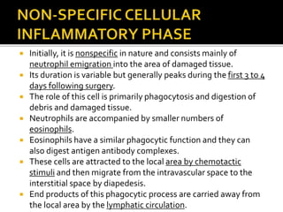  Initially, it is nonspecific in nature and consists mainly of
neutrophil emigration into the area of damaged tissue.
 Its duration is variable but generally peaks during the first 3 to 4
days following surgery.
 The role of this cell is primarily phagocytosis and digestion of
debris and damaged tissue.
 Neutrophils are accompanied by smaller numbers of
eosinophils.
 Eosinophils have a similar phagocytic function and they can
also digest antigen antibody complexes.
 These cells are attracted to the local area by chemotactic
stimuli and then migrate from the intravascular space to the
interstitial space by diapedesis.
 End products of this phagocytic process are carried away from
the local area by the lymphatic circulation.
 