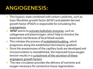  This hypoxic state combined with certain cytokines, such as
basic fibroblast growth factor (bFGF) and platelet derived
growth factor (PDGF) is responsible for simulating this
angiogenesis.
 bFGF seems to activate hydrolytic enzymes, such as
collagenase and plasminogen, which help to dissolve the
basement membranes of local blood vessels.
 This initiates the process of endothelial budding, which
progresses along the established chemotactic gradient.
 Once the anastomoses of the capillary buds are developed and
microcirculation is reestablished, the improved tissue oxygen
tension results in a curtailment of the secretion of these
angiogenic growth factors.
 The new circulation provides the delivery of nutrients and
oxygen necessary for connective tissue regeneration.
 