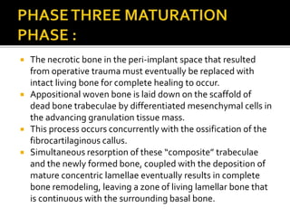  The necrotic bone in the peri-implant space that resulted
from operative trauma must eventually be replaced with
intact living bone for complete healing to occur.
 Appositional woven bone is laid down on the scaffold of
dead bone trabeculae by differentiated mesenchymal cells in
the advancing granulation tissue mass.
 This process occurs concurrently with the ossification of the
fibrocartilaginous callus.
 Simultaneous resorption of these “composite” trabeculae
and the newly formed bone, coupled with the deposition of
mature concentric lamellae eventually results in complete
bone remodeling, leaving a zone of living lamellar bone that
is continuous with the surrounding basal bone.
 