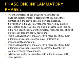  The inflammatory phase of wound healing for the
mucoperiosteal complex is essentially the same as that
mentioned in the previous section on bone healing.
 It involves an initial vascular response followed by platelet
aggregation and activation, the clotting cascade and then an
initial non-specific cellular inflammatory response consisting of
infiltrates of predominantly neutrophils.
 This is followed shortly thereafter by a more specific cellular
inflammatory response consisting of infiltrates of
predominantly neutrophils.
 This is followed shortly thereafter by a more specific cellular
inflammatory response marked by increased number of
lymphocytes and macrophages.
 Cytokines also play an important role in the healing of soft
tissue wounds.
 