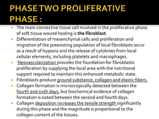  The main connective tissue cell involved in the proliferative phase
of soft tissue wound healing is the fibroblast.
 Differentiation of mesenchymal cells and proliferation and
migration of the preexisting population of local fibroblasts occur
as a result of hypoxia and the release of cytokines from local
cellular elements, including platelets and macrophages.
 Neovascularization provides the foundation for fibroblastic
proliferation by supplying the local area with the nutritional
support required to maintain this enhanced metabolic state.
 Fibroblasts produce ground substance, collagen and elastic fibers.
 Collagen formation is microscopically detected between the
fourth and sixth days, but biochemical evidence of collagen
formation is noted between the second and fourth days.
 Collagen deposition increases the tensile strength significantly
during this phase and the magnitude is proportional to the
collagen content of the tissues.
 