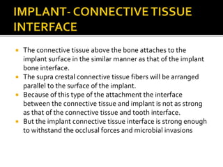  The connective tissue above the bone attaches to the
implant surface in the similar manner as that of the implant
bone interface.
 The supra crestal connective tissue fibers will be arranged
parallel to the surface of the implant.
 Because of this type of the attachment the interface
between the connective tissue and implant is not as strong
as that of the connective tissue and tooth interface.
 But the implant connective tissue interface is strong enough
to withstand the occlusal forces and microbial invasions
 
