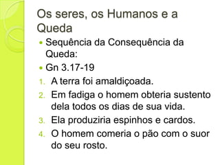 Os seres, os Humanos e a
Queda
 Sequência da Consequência da
Queda:
 Gn 3.17-19
1. A terra foi amaldiçoada.
2. Em fadiga o homem obteria sustento
dela todos os dias de sua vida.
3. Ela produziria espinhos e cardos.
4. O homem comeria o pão com o suor
do seu rosto.
 