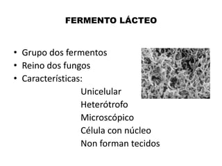 FERMENTO LÁCTEO

• Grupo dos fermentos
• Reino dos fungos
• Características:
Unicelular
Heterótrofo
Microscópico
Célula con núcleo
Non forman tecidos

 