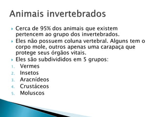  Cerca de 95% dos animais que existem
pertencem ao grupo dos invertebrados.
 Eles não possuem coluna vertebral. Alguns tem o
corpo mole, outros apenas uma carapaça que
protege seus órgãos vitais.
 Eles são subdivididos em 5 grupos:
1. Vermes
2. Insetos
3. Aracnídeos
4. Crustáceos
5. Moluscos
 