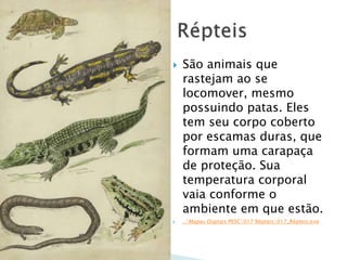  São animais que
rastejam ao se
locomover, mesmo
possuindo patas. Eles
tem seu corpo coberto
por escamas duras, que
formam uma carapaça
de proteção. Sua
temperatura corporal
vaia conforme o
ambiente em que estão.
 ..Mapas Digitais PESC017 Répteis017_Répteis.exe
 