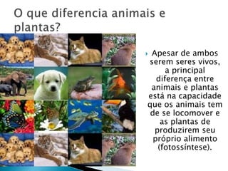  Apesar de ambos
serem seres vivos,
a principal
diferença entre
animais e plantas
está na capacidade
que os animais tem
de se locomover e
as plantas de
produzirem seu
próprio alimento
(fotossíntese).
 