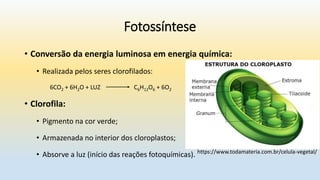 Fotossíntese
• Conversão da energia luminosa em energia química:
• Realizada pelos seres clorofilados:
6CO2 + 6H2O + LUZ C6H12O6 + 6O2
• Clorofila:
• Pigmento na cor verde;
• Armazenada no interior dos cloroplastos;
• Absorve a luz (início das reações fotoquímicas). https://www.todamateria.com.br/celula-vegetal/
 