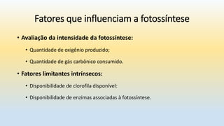 Fatores que influenciam a fotossíntese
• Avaliação da intensidade da fotossíntese:
• Quantidade de oxigênio produzido;
• Quantidade de gás carbônico consumido.
• Fatores limitantes intrínsecos:
• Disponibilidade de clorofila disponível:
• Disponibilidade de enzimas associadas à fotossíntese.
 