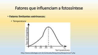Fatores que influenciam a fotossíntese
• Fatores limitantes extrínsecos:
• Temperatura:
http://www.sobiologia.com.br/conteudos/bioquimica/bioquimica17.php
 