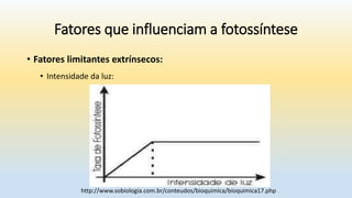 Fatores que influenciam a fotossíntese
• Fatores limitantes extrínsecos:
• Intensidade da luz:
http://www.sobiologia.com.br/conteudos/bioquimica/bioquimica17.php
 