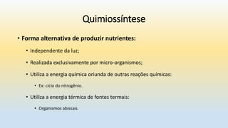 Quimiossíntese
• Forma alternativa de produzir nutrientes:
• Independente da luz;
• Realizada exclusivamente por micro-organismos;
• Utiliza a energia química oriunda de outras reações químicas:
• Ex: ciclo do nitrogênio.
• Utiliza a energia térmica de fontes termais:
• Organismos abissais.
 