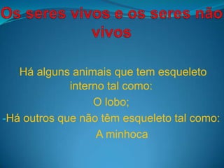 Os seres vivos e os seres não vivos Há alguns animais que tem esqueleto interno tal como: O lobo;                                                                                                                   ,[object Object],                               A minhoca 