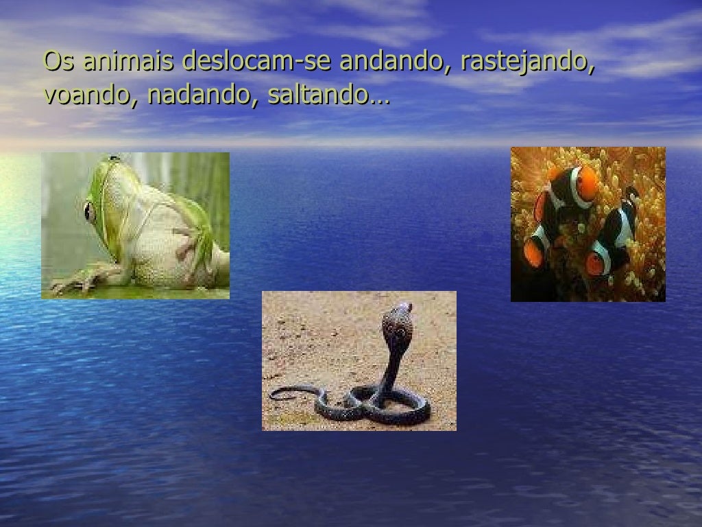 Conjunto De Condições Naturais Que Atuam Sobre Os Seres Vivos
