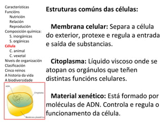Características 
Funcións 
Nutrición 
Relación 
Reprodución 
Composición química: 
S. inorgánicas 
S. orgánicas 
Célula 
C. animal 
C. vexetal 
Niveis de organización 
Clasificación 
Cinco reinos 
A historia da vida 
A biodiversidade 
Estruturas comúns das células: 
Membrana celular: Separa a célula 
do exterior, protexe e regula a entrada 
e saída de substancias. 
Citoplasma: Líquido viscoso onde se 
atopan os orgánulos que teñen 
distintas funcións celulares. 
Material xenético: Está formado por 
moléculas de ADN. Controla e regula o 
funcionamento da célula. 
 