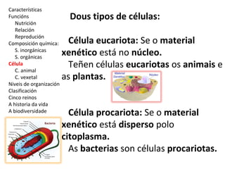 Características 
Funcións 
Nutrición 
Relación 
Reprodución 
Composición química: 
S. inorgánicas 
S. orgánicas 
Célula 
C. animal 
C. vexetal 
Niveis de organización 
Clasificación 
Cinco reinos 
A historia da vida 
A biodiversidade 
Dous tipos de células: 
Célula eucariota: Se o material 
xenético está no núcleo. 
Teñen células eucariotas os animais e 
as plantas. 
Célula procariota: Se o material 
xenético está disperso polo 
citoplasma. 
As bacterias son células procariotas. 
Bacteria 
 