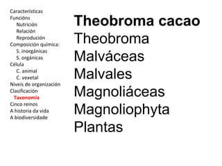 Características 
Funcións 
Nutrición 
Relación 
Reprodución 
Composición química: 
S. inorgánicas 
S. orgánicas 
Célula 
C. animal 
C. vexetal 
Niveis de organización 
Clasificación 
Taxonomía 
Cinco reinos 
A historia da vida 
A biodiversidade 
Theobroma cacao 
Theobroma 
Malváceas 
Malvales 
Magnoliáceas 
Magnoliophyta 
Plantas 
 