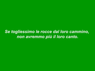 Se togliessimo le rocce dal loro cammino,
      non avremmo più il loro canto.
 