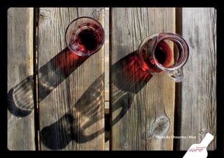 Osservatorio Wine