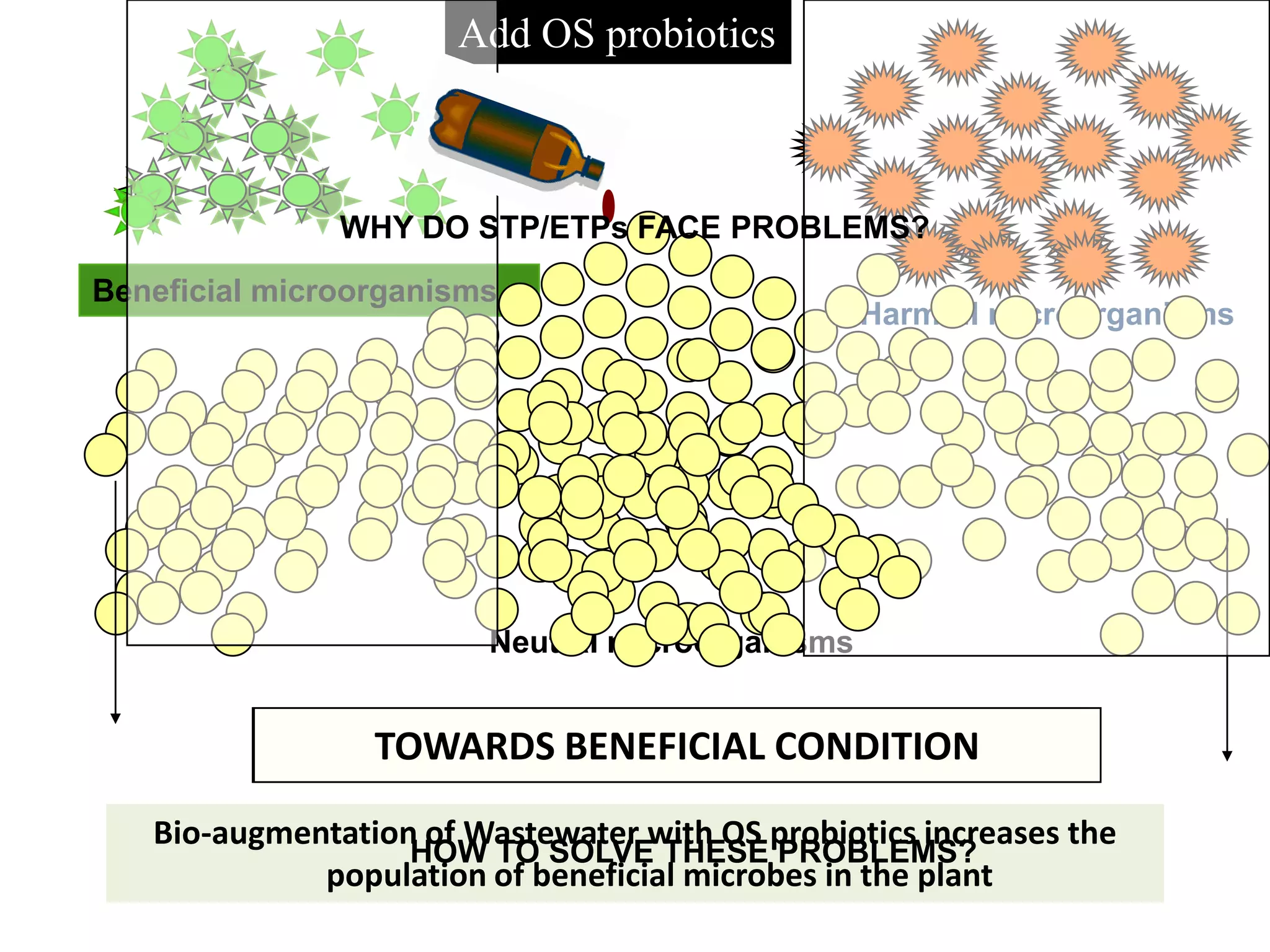 Brief Mechanism- Reduction of Pathogens

Blend of heterotrophic and
phototropic bacteria
Multi-strain culture based on the
principle of co-existence
Strains are carefully selected
based on metabolic properties
Reduction of pathogens by
‘Competitive Exclusion’ as they do
not get sufficient oxygen and food

www.organicsolutions.in

 