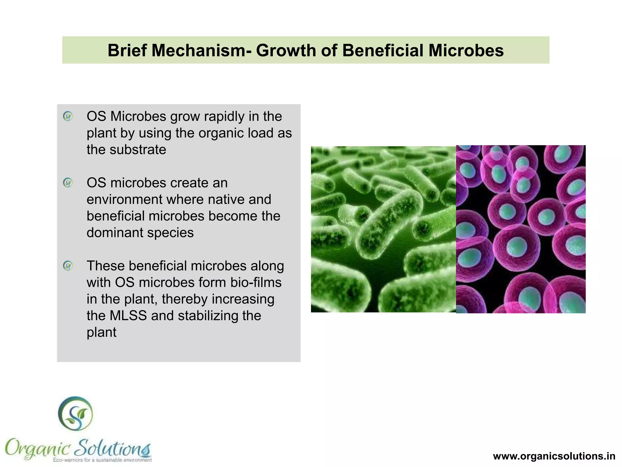 Brief Mechanism- Suppression of Odor
Odor substances are of weak alkaline nature predominantly
represented by ammonia. Ammonia is neutralized by the organic
acids produced by OS microbes
Phototropic bacteria utilizes odor substances like Hydrogen Sulphide
(H2S) as hydrogen donors in its growth cycle
The enzymes and anti-oxidants produced by OS microbes reduce
odor further
Foul odor is emitted in the process of putrefaction. Application of OS
shifts the balance of the environment towards fermentation.

Brief Mechanism- Reduction of Sludge
Primary Sludge serves as a substrate for the rapid growth of OS
microbes
Secondary Sludge is maintained by the process of autolysis – self
digestion

www.organicsolutions.in

 