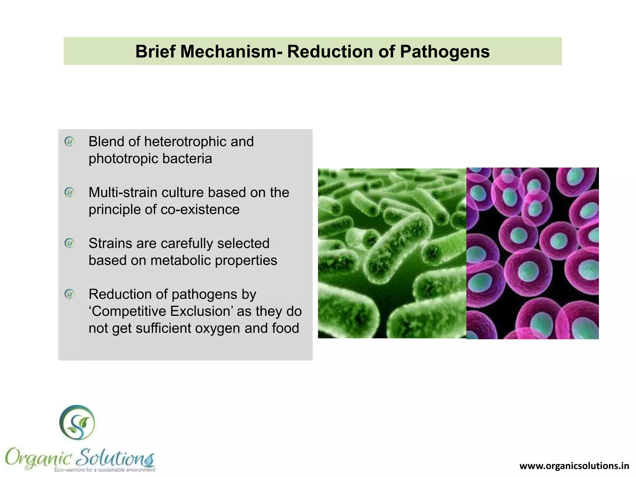 Existing STPsCase Studies

 
