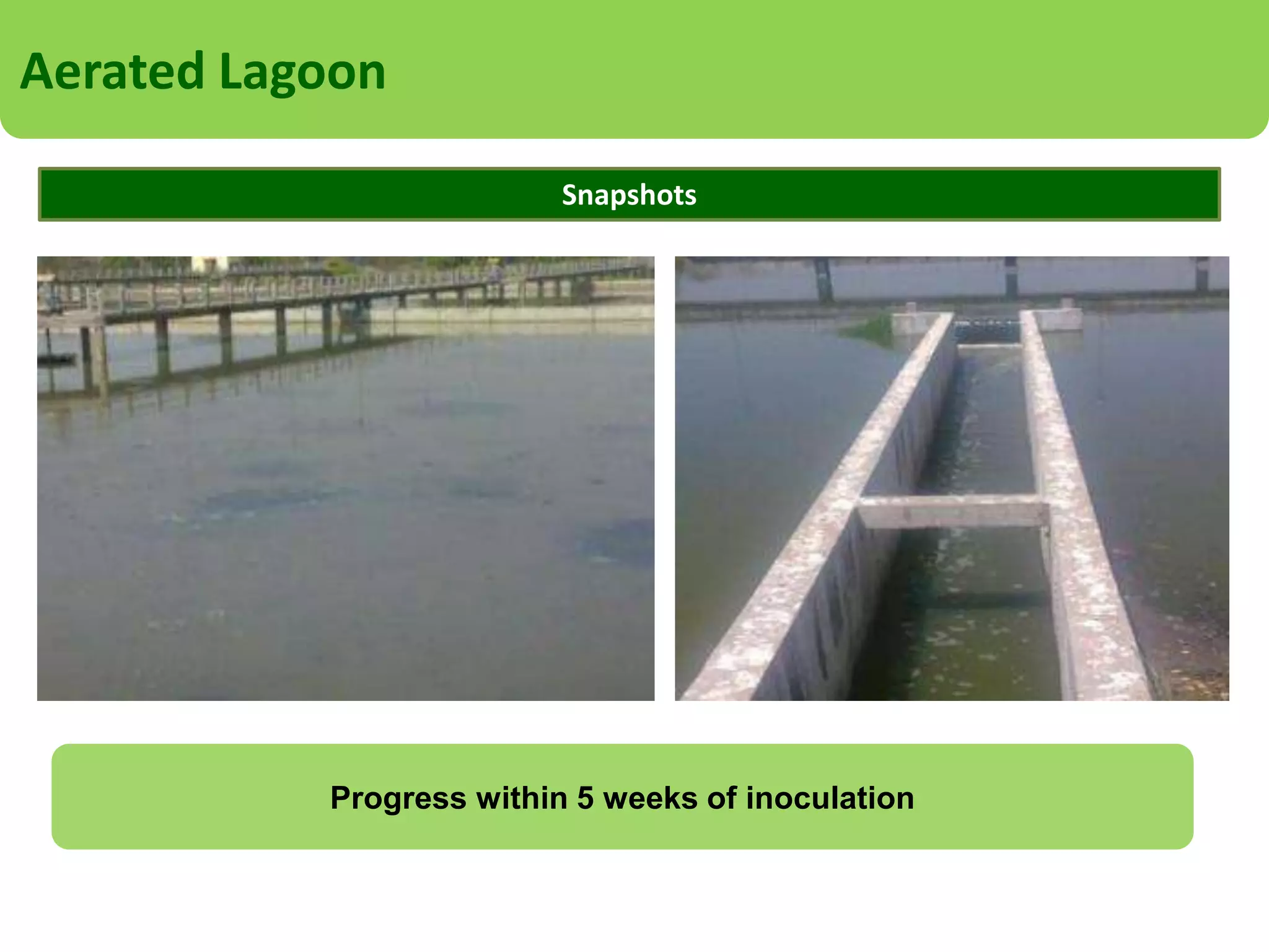 Extended Aeration Plant
Project Description
Industry: Government Residential Colony
Client: Indian Military Organization
Location: Haryana
Flow: 1.5 MLD
Product Used: Customized Solution using OS1-WW
Challenges Faced: Irregular Power Supply, Improper Treatment, Foul Odor, Heavy Sludge
Deposits, Regular Break down of machinery

Goals
Reduce sludge production
Reduce Foul Odors
Outflow standards established by regulations must be met
Reduce Energy Consumption

 