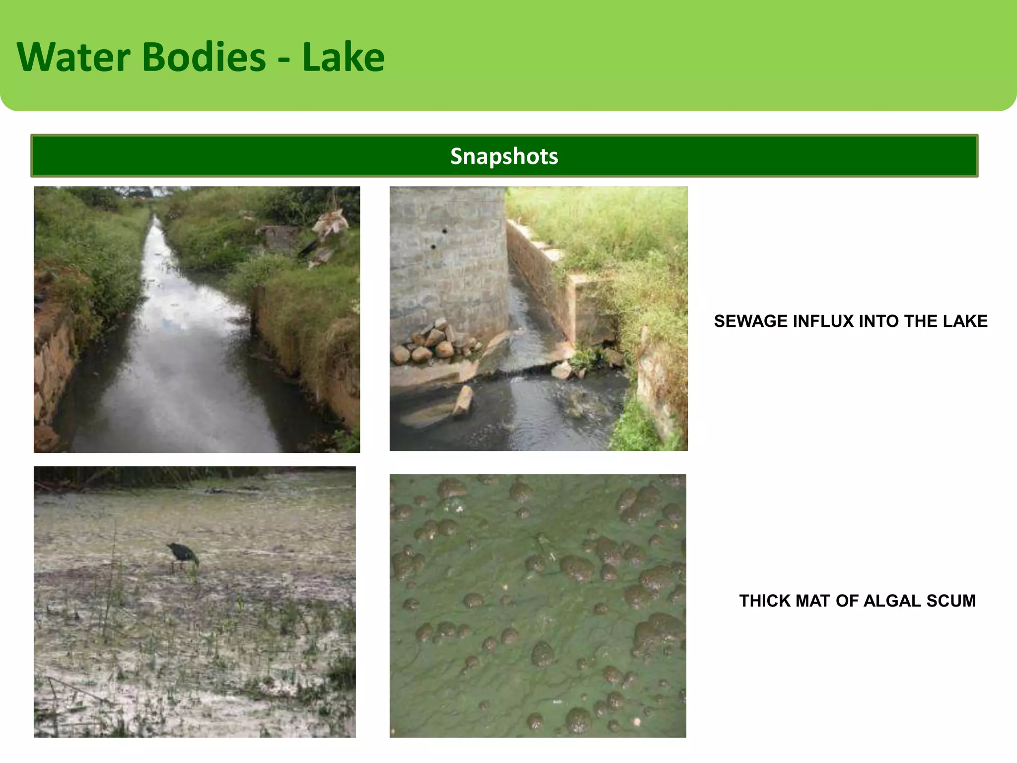 Rotating Biological Contractor
Project Description
Industry: Hospitality Industry
Client: A Luxury Resort
Location: Maldives
When: Since 2011
Flow: 200KL
Product Used: Customized Solution using OS1-WW
Challenges Faced: Improper Treatment, Foul Odor, Heavy Sludge Deposits

Goals
Reduce sludge production
Reduce Foul Odors
Outflow standards established by regulations must be met

 