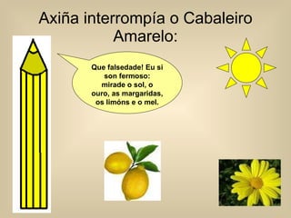 Axiña interrompía o Cabaleiro Amarelo: Que falsedade! Eu si son fermoso: mirade o sol, o ouro, as margaridas, os limóns e o mel. 