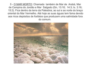 5 - O MAR MORTO: Chamado também de Mar de Arabá, Mar
de Campina do Jordão e Mar Salgado (Gn, 13:10; 14:3; Is. 3:16;
15:2). Fica dentro da terra da Palestina, ao sul e ao norte do braço
oriental do Mar Vermelho. Até hoje as suas águas tem fama devido
aos ricos depósitos de fosfatos que produzem uma salinidade fora
do comum.