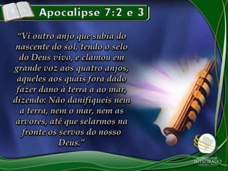 Os sete selos do Apocalipse