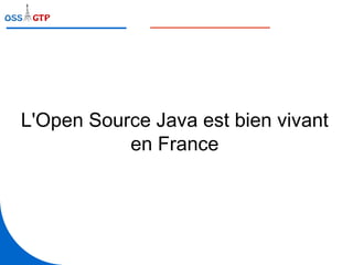L'Open Source Java est bien vivant en France 
