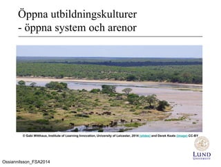 Öppna utbildningskulturer
- öppna system och arenor
© Gabi Witthaus, Institute of Learning Innovation, University of Leicester, 2014 (slides) and Derek Keats (image) CC-BY
Ossiannilsson_FSA2014
 