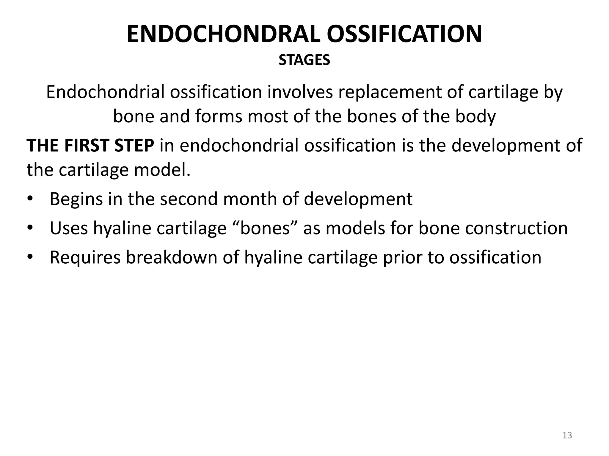 ENDOCHONDRAL OSSIFICATION
STAGES
Endochondrial ossification involves replacement of cartilage by
bone and forms most of the bones of the body
THE FIRST STEP in endochondrial ossification is the development of
the cartilage model.
• Begins in the second month of development
• Uses hyaline cartilage “bones” as models for bone construction
• Requires breakdown of hyaline cartilage prior to ossification
13
 