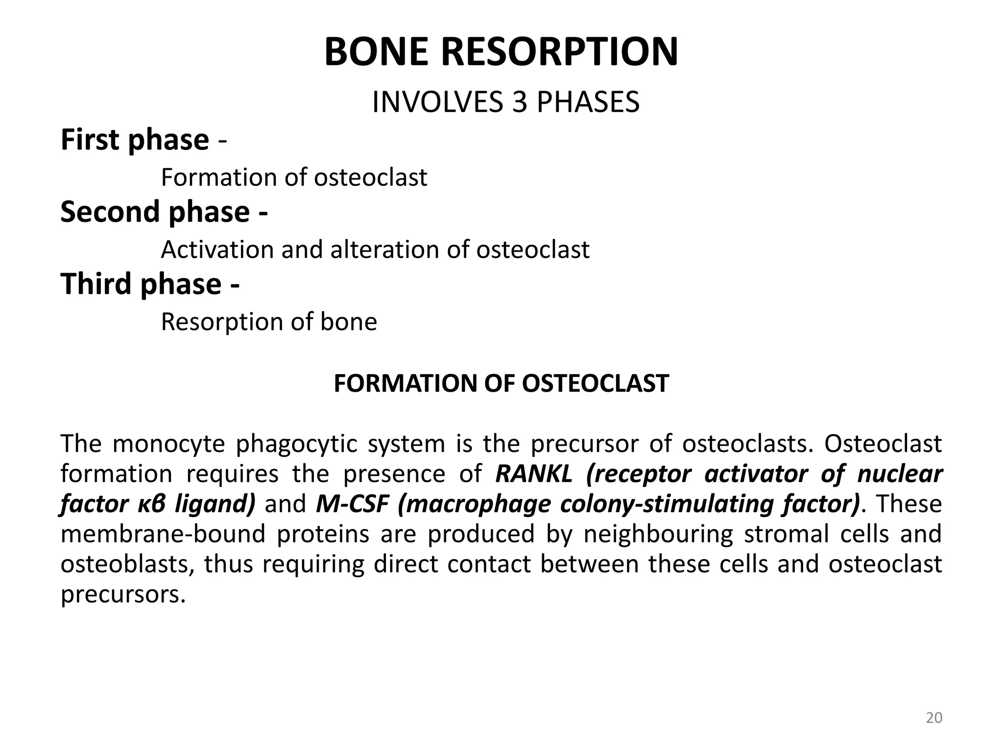 BONE RESORPTION
INVOLVES 3 PHASES
First phase -
Formation of osteoclast
Second phase -
Activation and alteration of osteoclast
Third phase -
Resorption of bone
FORMATION OF OSTEOCLAST
The monocyte phagocytic system is the precursor of osteoclasts. Osteoclast
formation requires the presence of RANKL (receptor activator of nuclear
factor κβ ligand) and M-CSF (macrophage colony-stimulating factor). These
membrane-bound proteins are produced by neighbouring stromal cells and
osteoblasts, thus requiring direct contact between these cells and osteoclast
precursors.
20
 