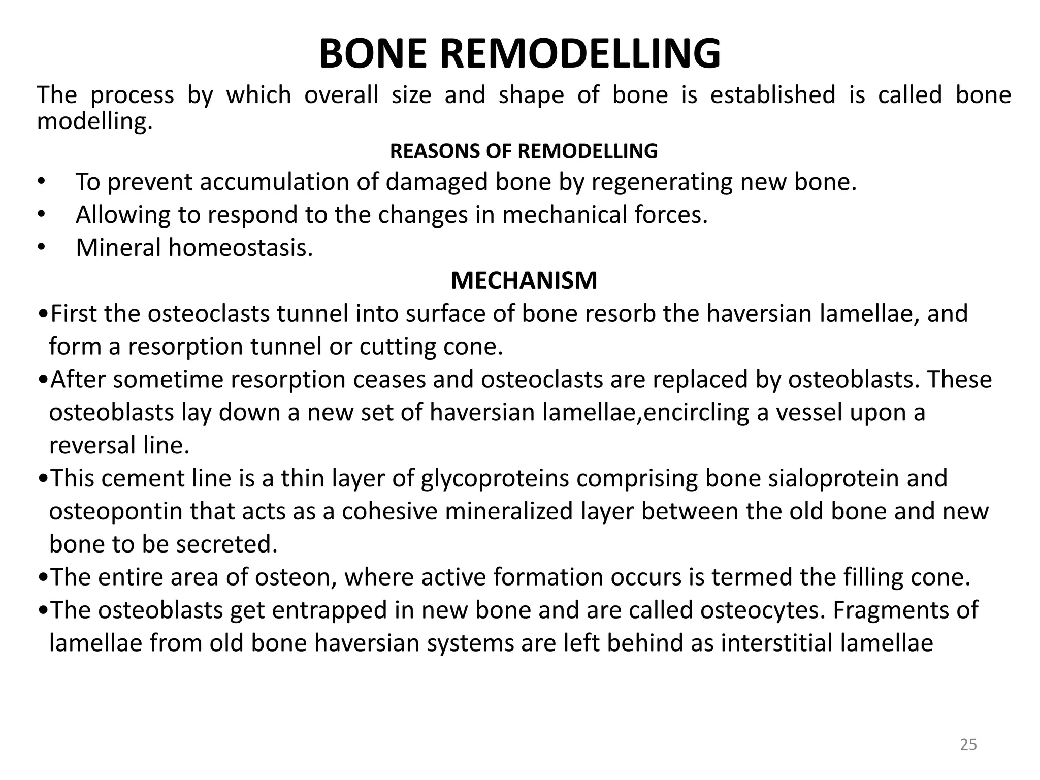 BONE REMODELLING
The process by which overall size and shape of bone is established is called bone
modelling.
REASONS OF REMODELLING
• To prevent accumulation of damaged bone by regenerating new bone.
• Allowing to respond to the changes in mechanical forces.
• Mineral homeostasis.
MECHANISM
•First the osteoclasts tunnel into surface of bone resorb the haversian lamellae, and
form a resorption tunnel or cutting cone.
•After sometime resorption ceases and osteoclasts are replaced by osteoblasts. These
osteoblasts lay down a new set of haversian lamellae,encircling a vessel upon a
reversal line.
•This cement line is a thin layer of glycoproteins comprising bone sialoprotein and
osteopontin that acts as a cohesive mineralized layer between the old bone and new
bone to be secreted.
•The entire area of osteon, where active formation occurs is termed the filling cone.
•The osteoblasts get entrapped in new bone and are called osteocytes. Fragments of
lamellae from old bone haversian systems are left behind as interstitial lamellae
25
 