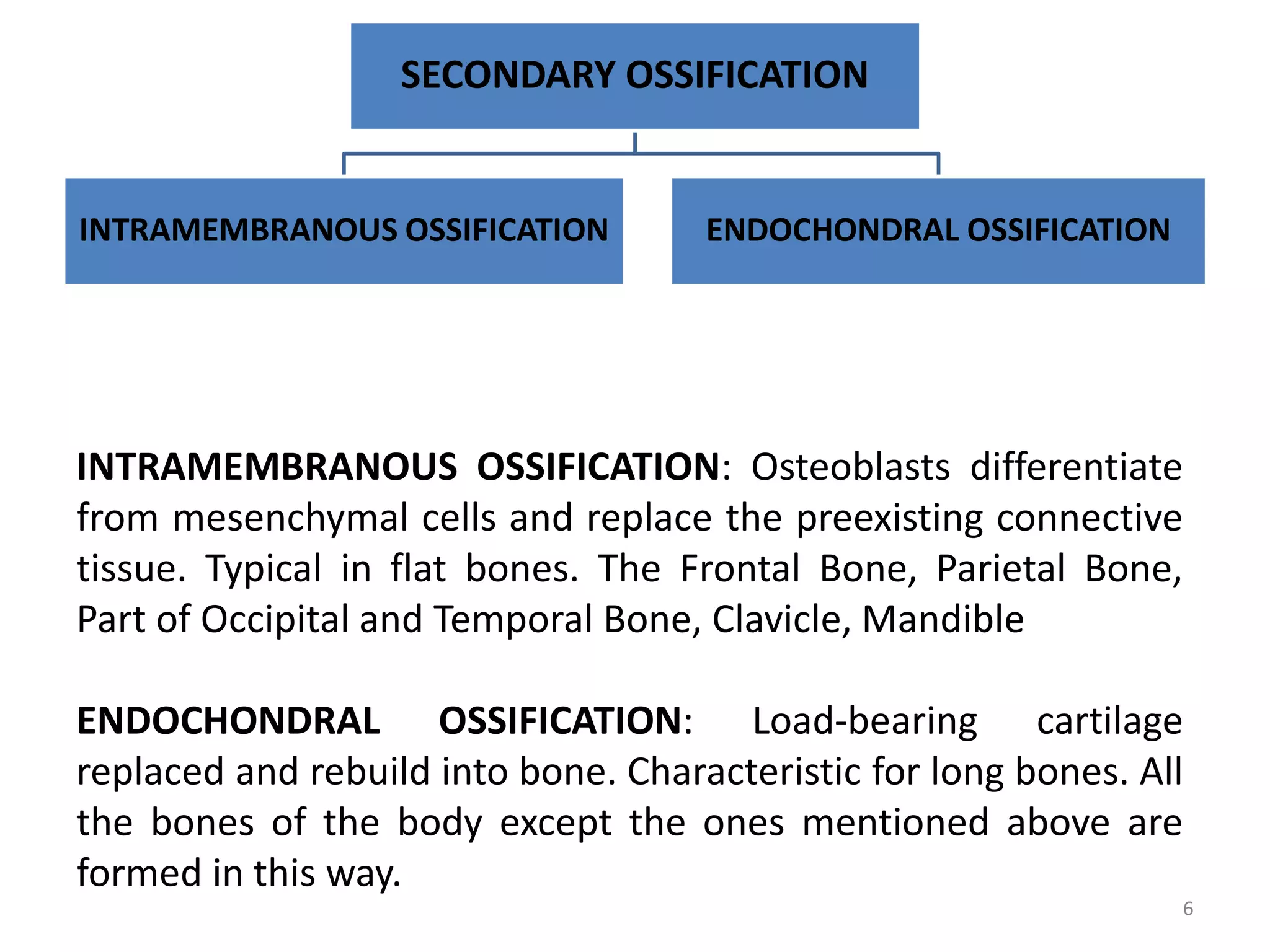 SECONDARY OSSIFICATION
INTRAMEMBRANOUS OSSIFICATION ENDOCHONDRAL OSSIFICATION
6
INTRAMEMBRANOUS OSSIFICATION: Osteoblasts differentiate
from mesenchymal cells and replace the preexisting connective
tissue. Typical in flat bones. The Frontal Bone, Parietal Bone,
Part of Occipital and Temporal Bone, Clavicle, Mandible
ENDOCHONDRAL OSSIFICATION: Load-bearing cartilage
replaced and rebuild into bone. Characteristic for long bones. All
the bones of the body except the ones mentioned above are
formed in this way.
 