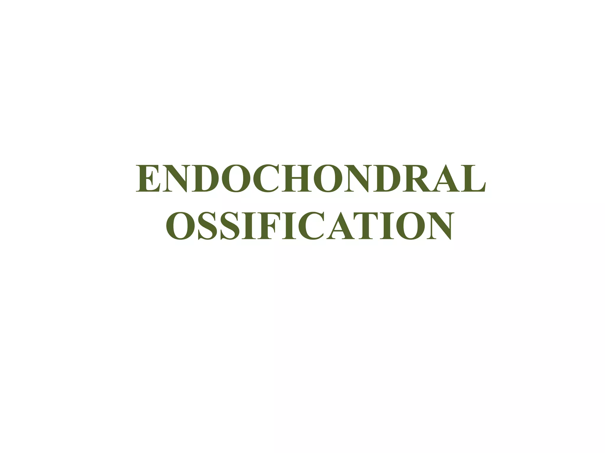 ENDOCHONDRAL
OSSIFICATION
 