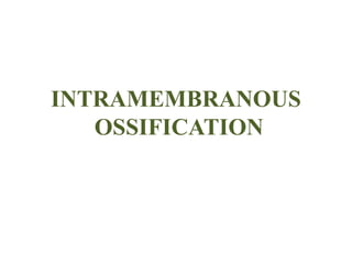 INTRAMEMBRANOUS
OSSIFICATION
 