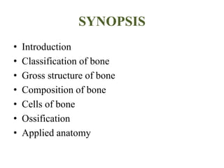 SYNOPSIS
• Introduction
• Classification of bone
• Gross structure of bone
• Composition of bone
• Cells of bone
• Ossification
• Applied anatomy
 
