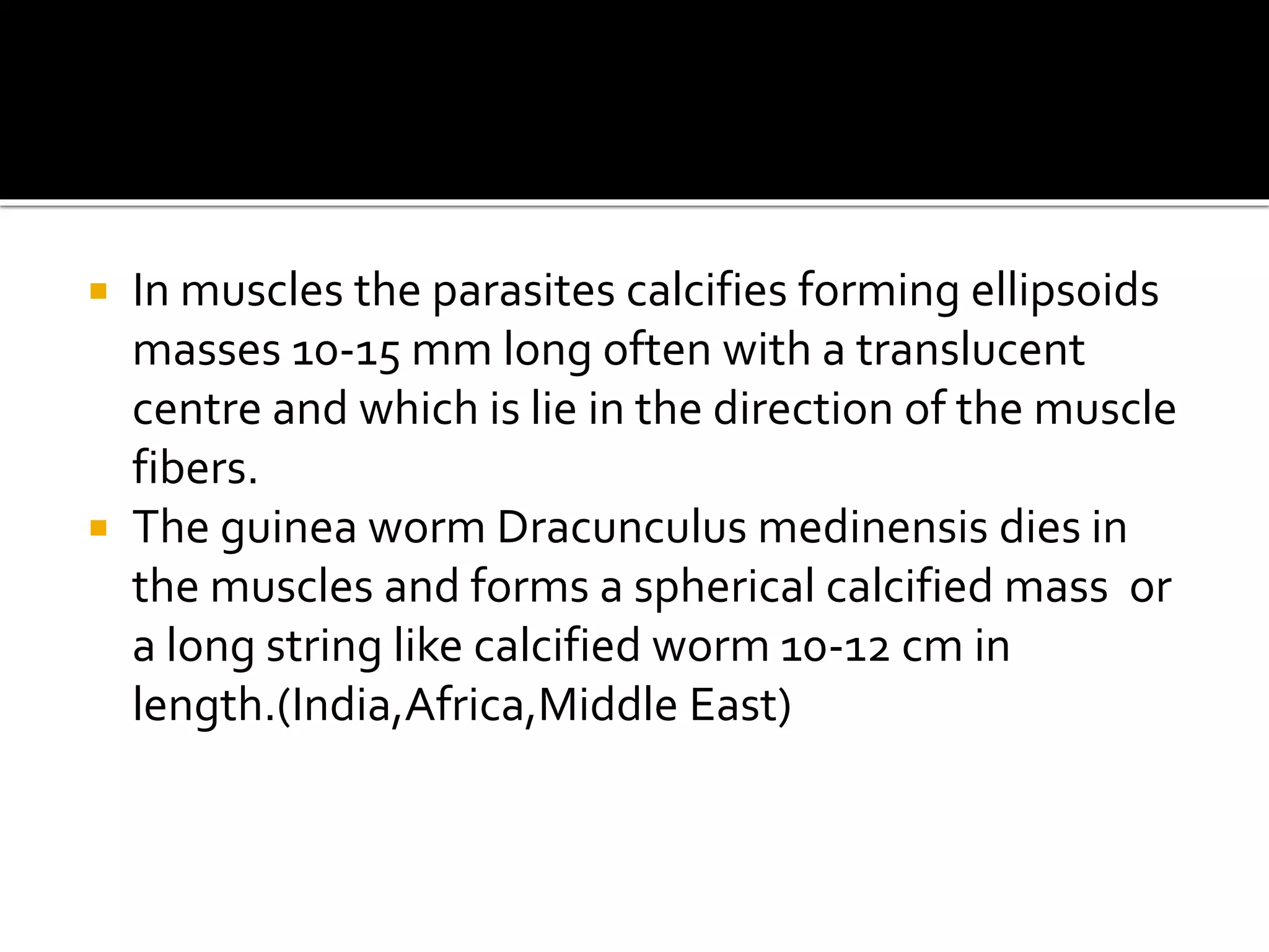  In muscles the parasites calcifies forming ellipsoids
masses 10-15 mm long often with a translucent
centre and which is lie in the direction of the muscle
fibers.
 The guinea worm Dracunculus medinensis dies in
the muscles and forms a spherical calcified mass or
a long string like calcified worm 10-12 cm in
length.(India,Africa,Middle East)
 