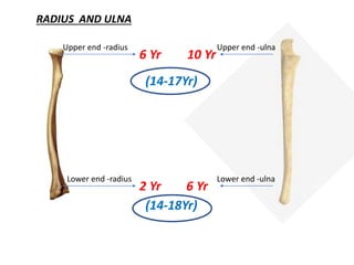 Ossification centres | PPTX