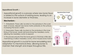 Ossification of bones (Batch A).pptx and bone | PPTX
