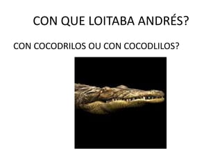 QUE SOÑOU ANDRÉS?<br />QUE VÍA DRAGÓNS E PRINCESAS OU QUE VÍA DLAGÓNS E PLINCESAS.<br />