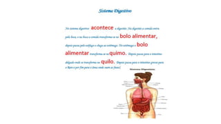 Os sistemas do corpo humano