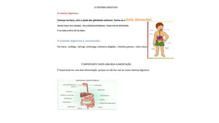 Os sistemas do corpo humano