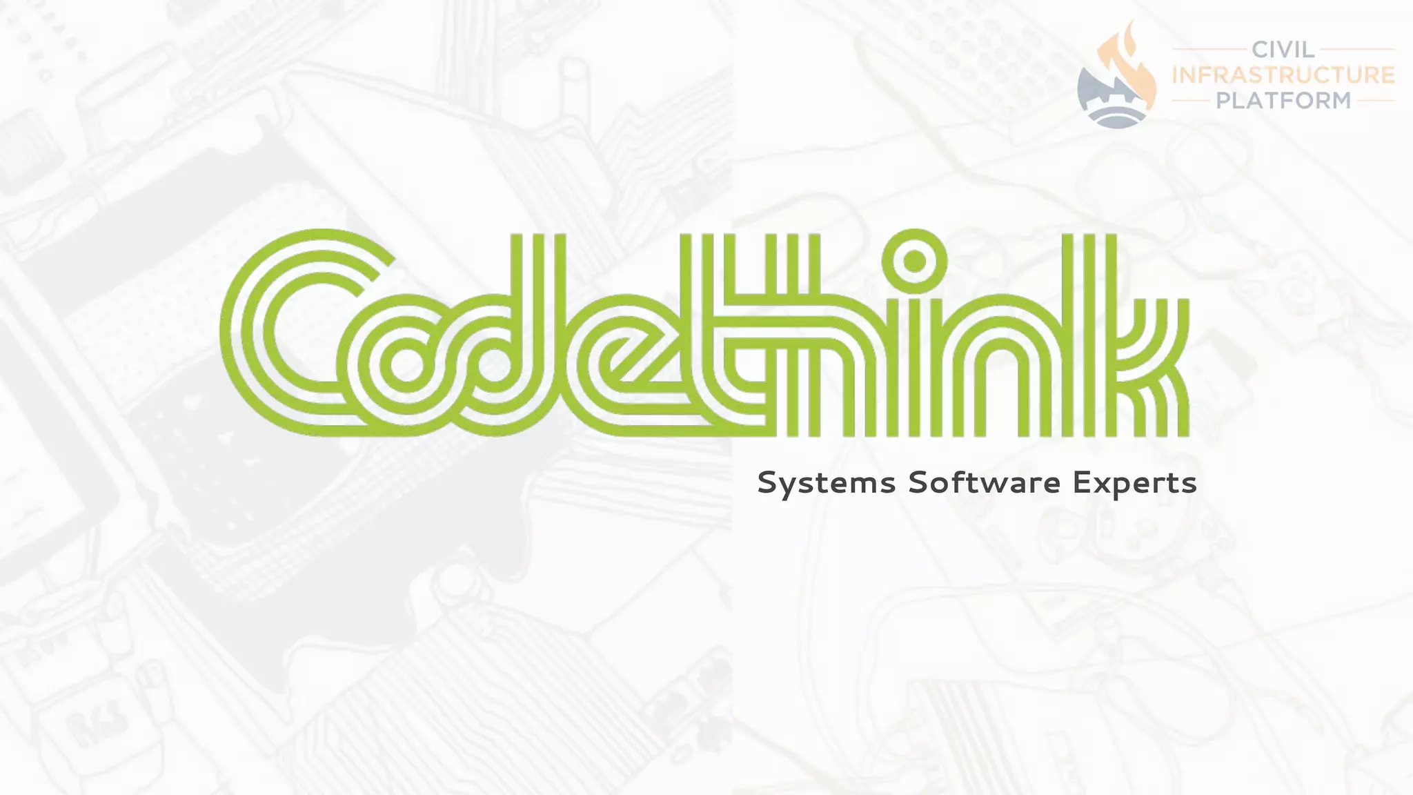 Systems Software Experts
 