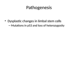 Pathogenesis
• Dysplastic changes in limbal stem cells
– Mutations in p53 and loss of heterozygosity
 